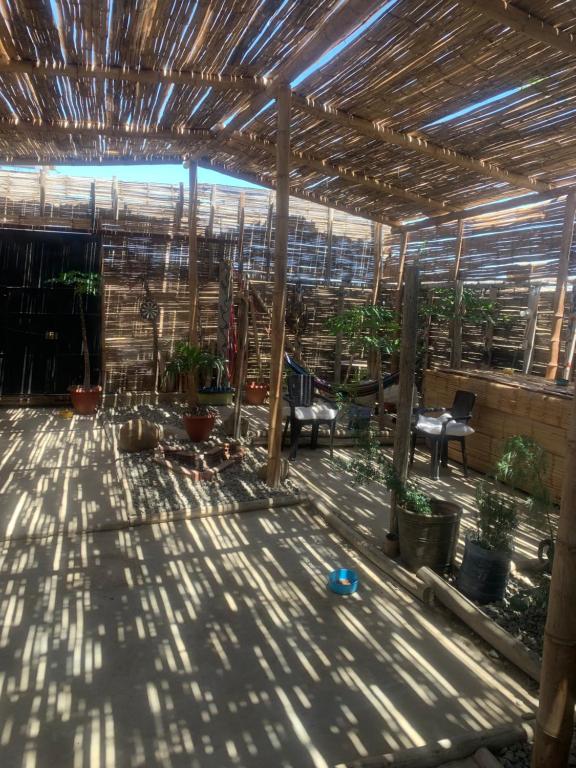 Fotografie z fotogalerie ubytování Tayta Surf House v destinaci Lobitos