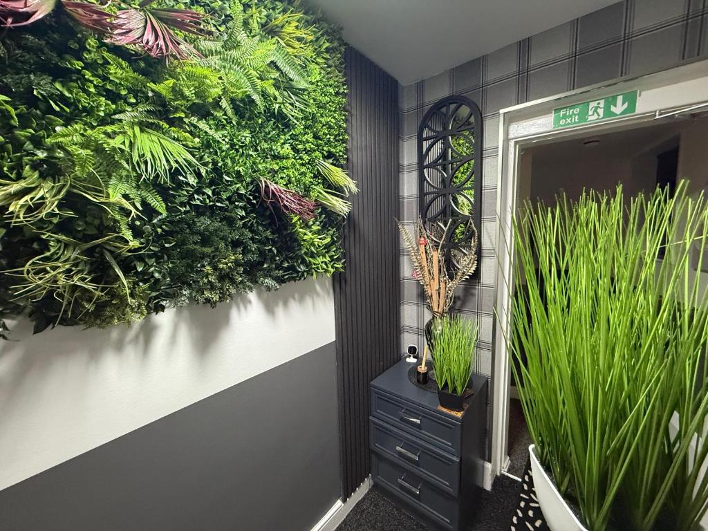 プレストンにあるMoor Park Apartmentsの壁面の植物の部屋