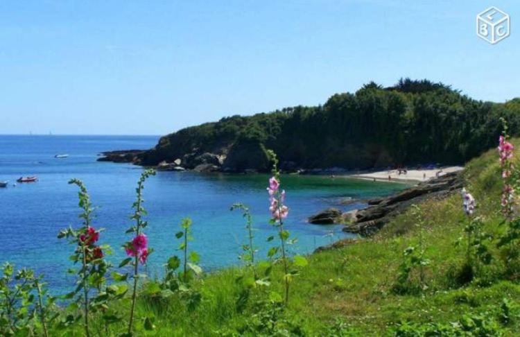 グロワにあるLa Breizh'îlienneの花の咲く丘から海岸を望む