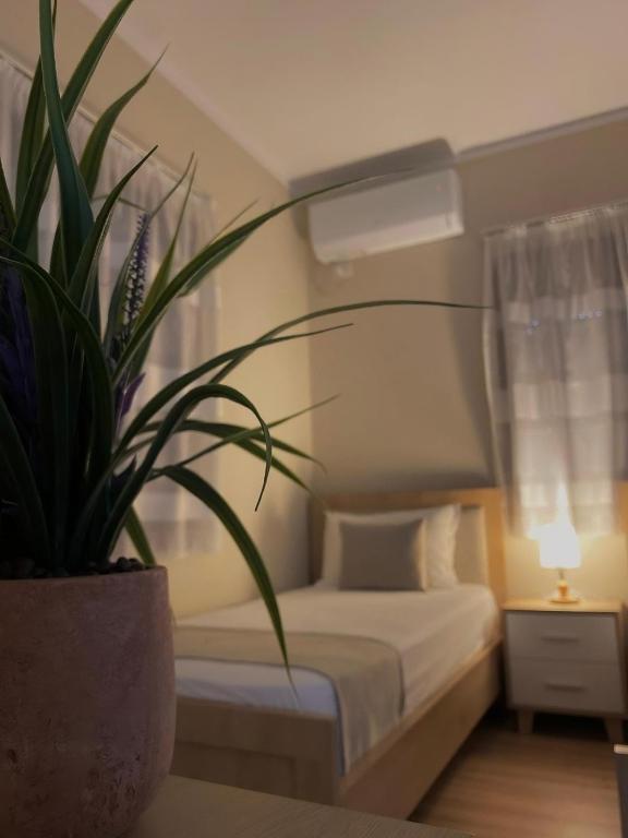Postel nebo postele na pokoji v ubytování Villa Tabaku
