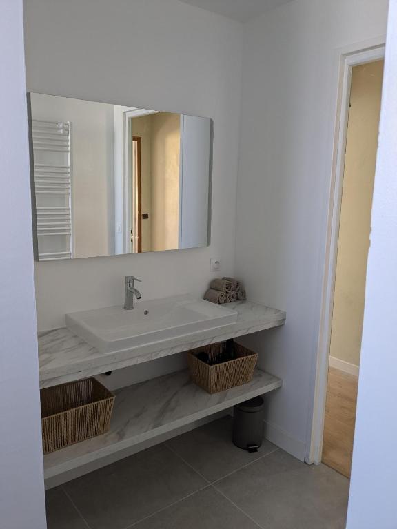 une salle de bain avec un lavabo et un miroir dans l'établissement Les pins du teich, au Teich