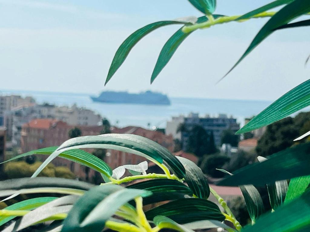 une plante verte avec vue sur une ville dans l'établissement Nice 1 bedroom, sea view, 10 min from Cannes Center & Palais des Festivals, à Cannes