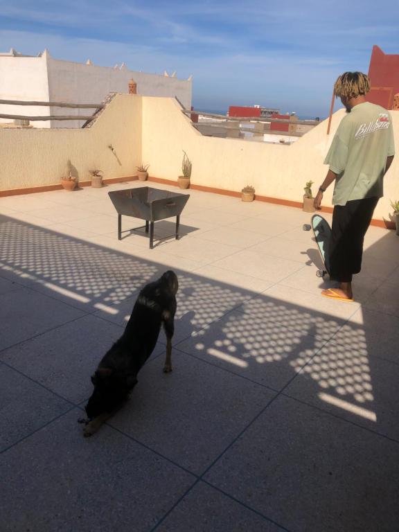 Ospiti di Daniasurfhouse con animali domestici