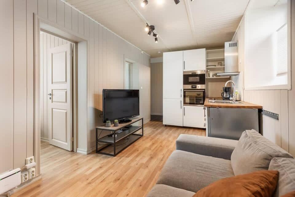 Luxurious Scandinavian Apartment Rentals With Free Parking