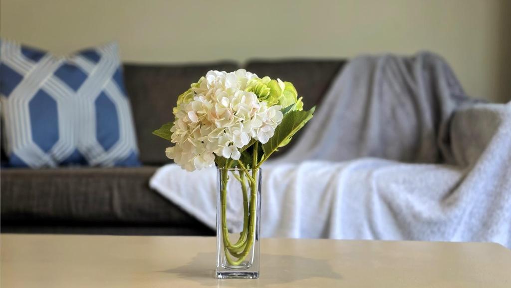 Posezení v ubytování TOWER JUNCTION MOTOR LODGE- MOTEL with Airport and Railway Station Shuttle service- Best Location - close to Westfield Mall, Tower Junction Shopping Centre, Restaurants, Cafes etc