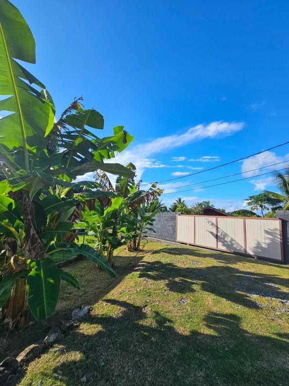 Sunrise Lodge - photo 11 - Raiatea, Polynésie