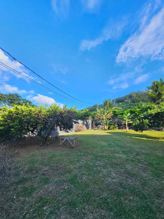 Sunrise Lodge - photo 9 - Raiatea, Polynésie