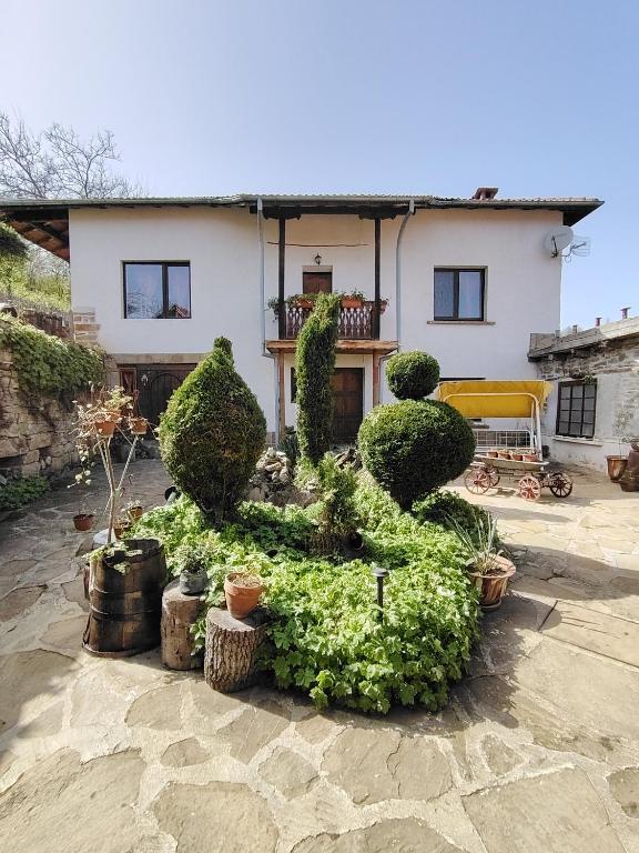 a house with a bunch of plants in front of it at Къща за гости ЧИЧАРИТЕ in Gabrovo