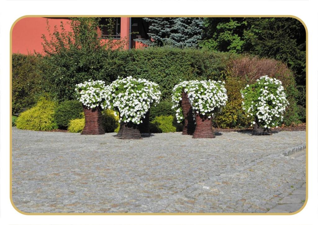 Agat Hotel - Resim 35