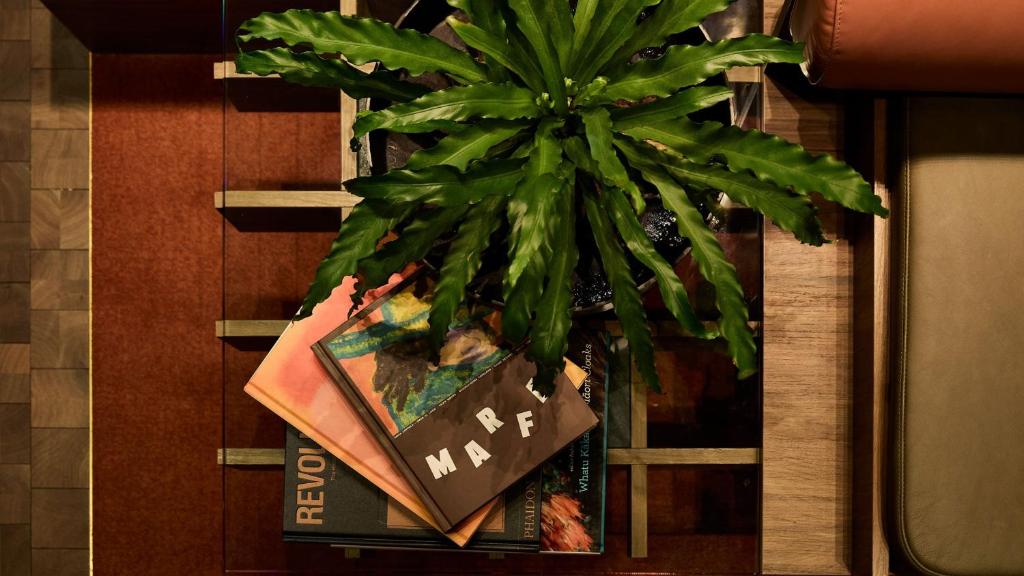 Hotel Indigo Auckland by IHG - Resim 6