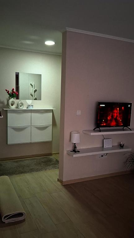 TV a/nebo společenská místnost v ubytování Apartment Leona