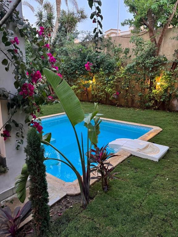 a pool in a yard with a plant next to it at Luxury 4BR New Cairo Villa with Pool & Stylish Living - FAMILY ONLY in Cairo