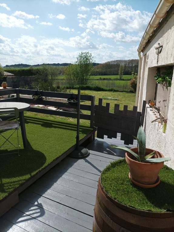 une terrasse avec une table et une plante en pot dans l'établissement Au soleil couchant, à Villemoustaussou
