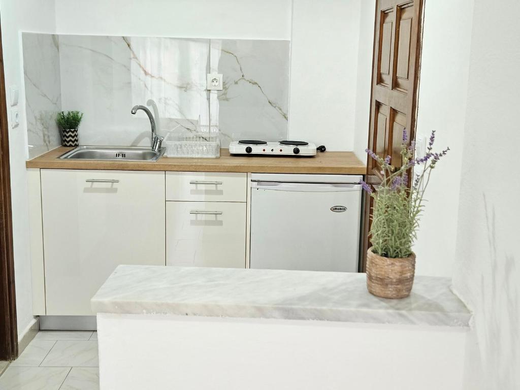 A kitchen or kitchenette at VILLA ELENA