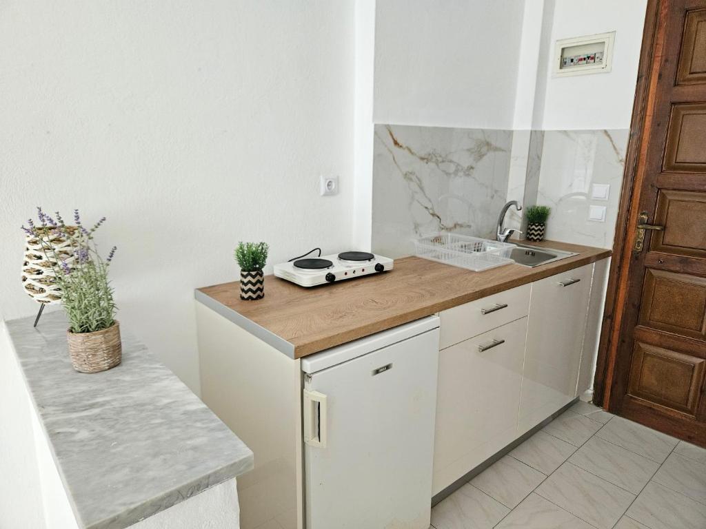 A kitchen or kitchenette at VILLA ELENA