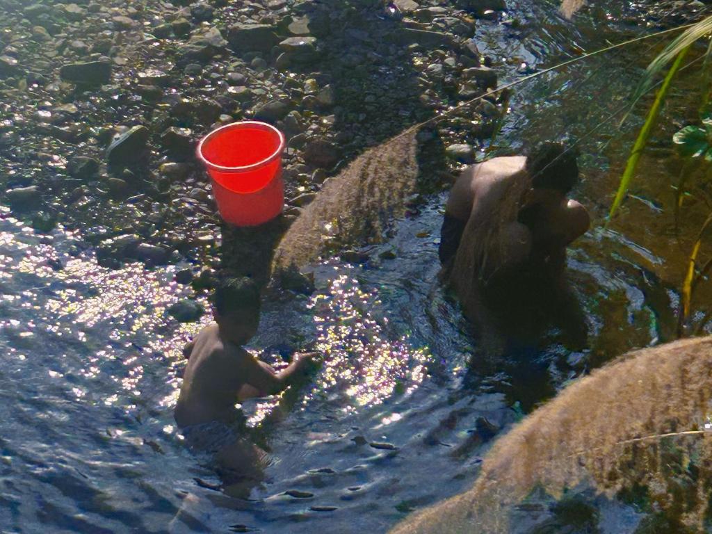 Zvířata v ubytování v soukromí nebo okolí