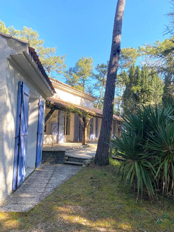 une maison avec une porte et un palmier dans l'établissement La Cachette d'Oona, à Saint-Jean-de-Monts