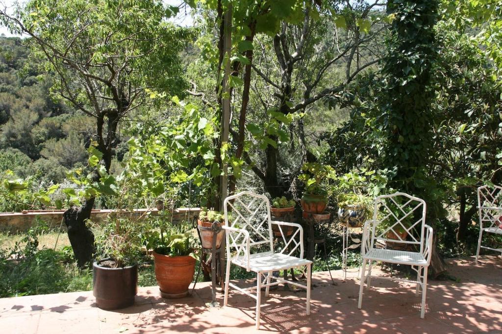 Vonkajšia záhrada v ubytovaní MASIA CAN SUNYER AGROTURISMO