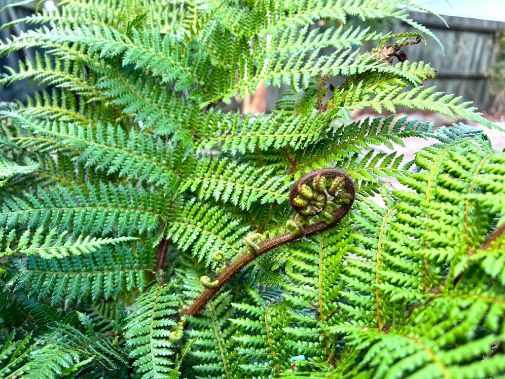 Rotorua Holiday Home - Prime Location - With Garden - Resim 28