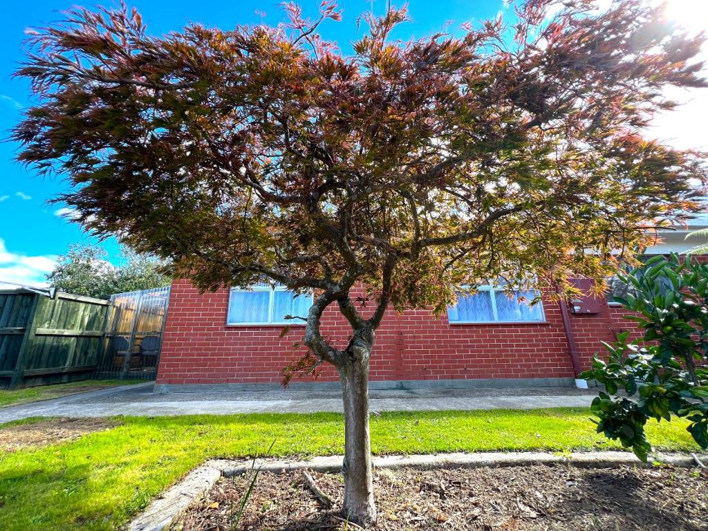 Rotorua Holiday Home - Prime Location - With Garden - Resim 29