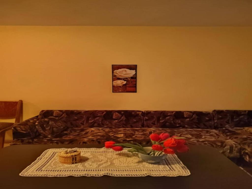 Cozy little flat in Karlovo