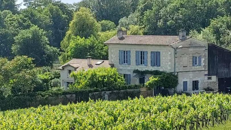 une vieille maison au milieu d'un champ de raisins dans l'établissement Coeur des grands crus médoc, à Saint-Estèphe