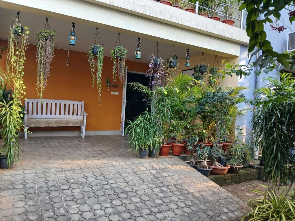 Puutarhaa majoituspaikan The Basic ulkopuolella