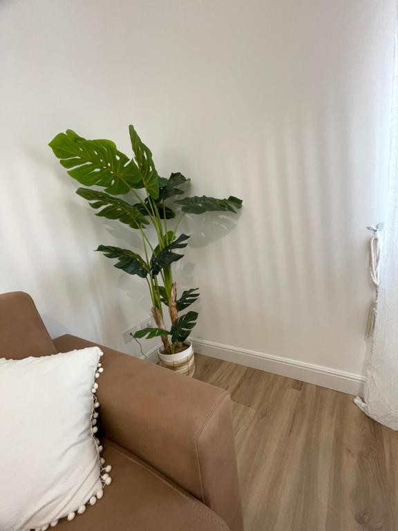 Posezení v ubytování La Casa di Ary