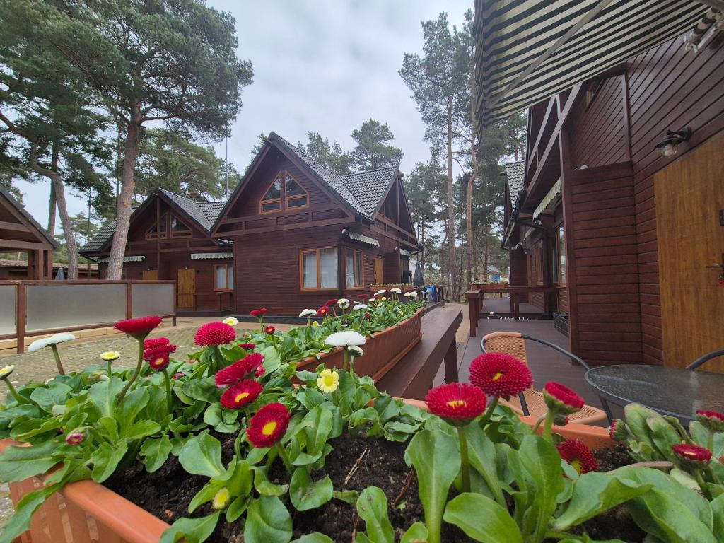 Κήπος έξω από το Aqua Domki Całoroczne Pobierowo