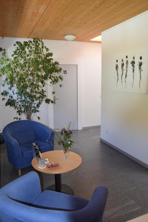 Posezení v ubytování Eco-Hotel Cristallina