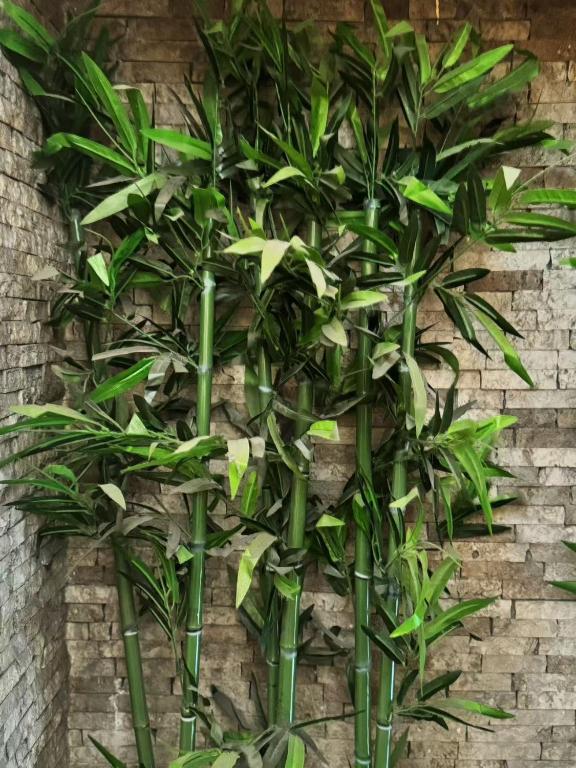 Hotel Valganna - Resim 5