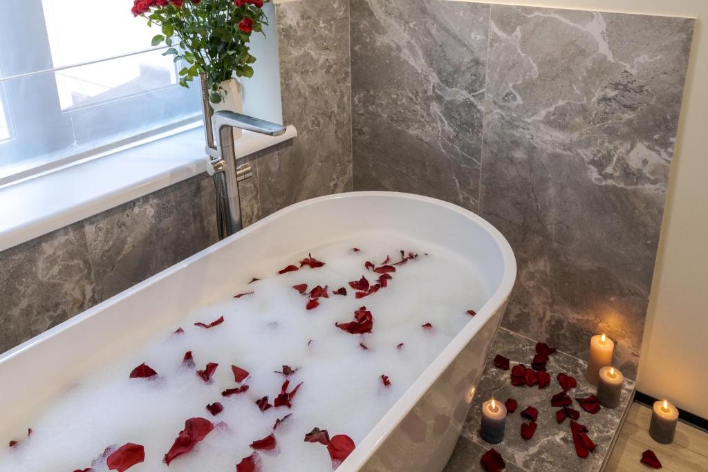Royal apart with bathtub on Rappaporta 15 головне фото