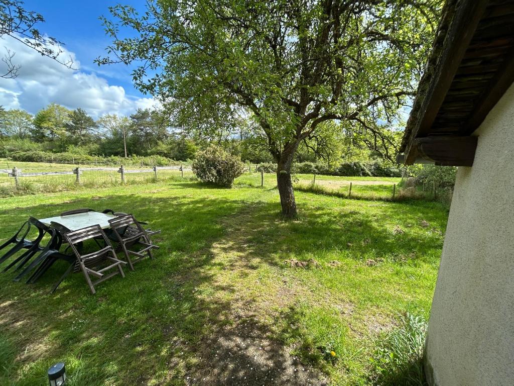 une table de pique-nique et un arbre dans un champ dans l'établissement Gîte privée 1h de beauval, à Nouan-le-Fuzelier