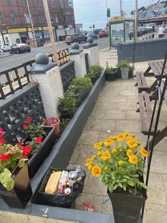 Dora Hotel - Resim 22