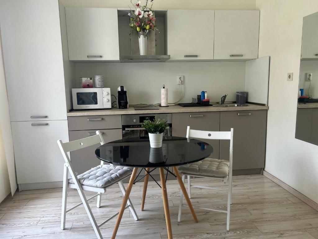 Η κουζίνα ή μικρή κουζίνα στο ApartHotel Asparuh Studio3