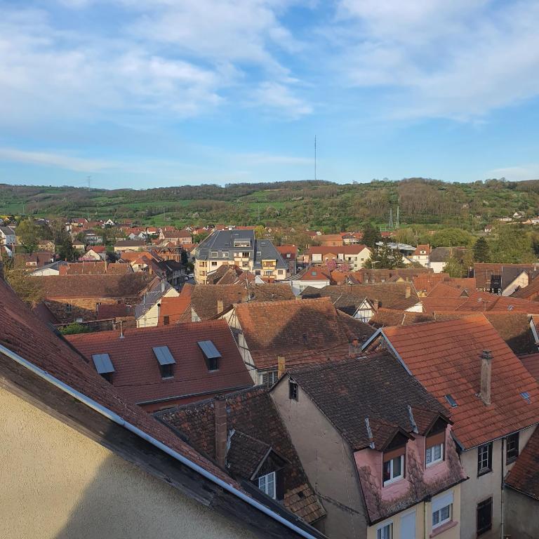 Nespecifikovaný výhled na destinaci Wasselonne nebo výhled na město při pohledu z apartmánu