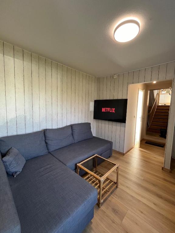 a living room with a blue couch and a television at Cozy 1-room apartment in Hannover