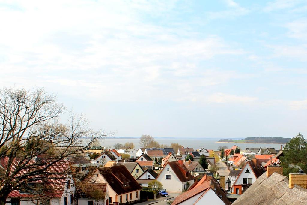 Příroda nedaleko hotelu