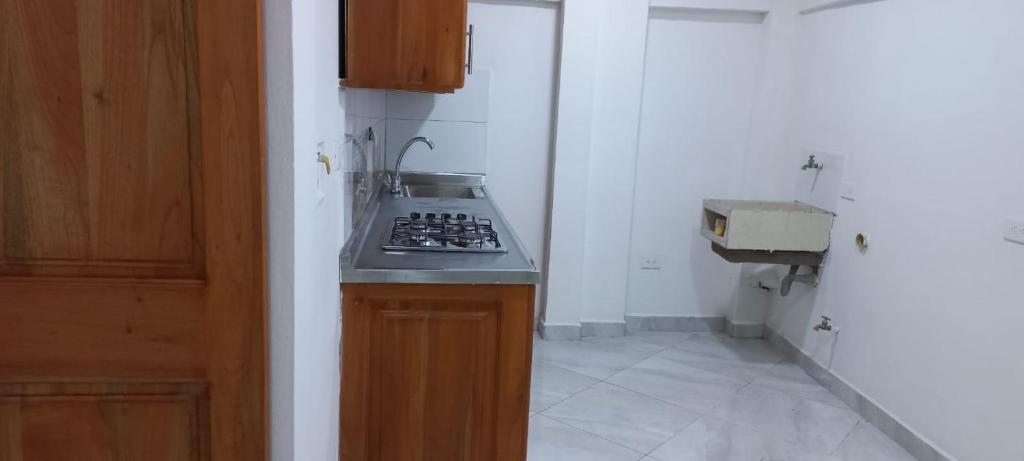 Kuchyň nebo kuchyňský kout v ubytování Apartamentos con estacionamiento cerca al parque