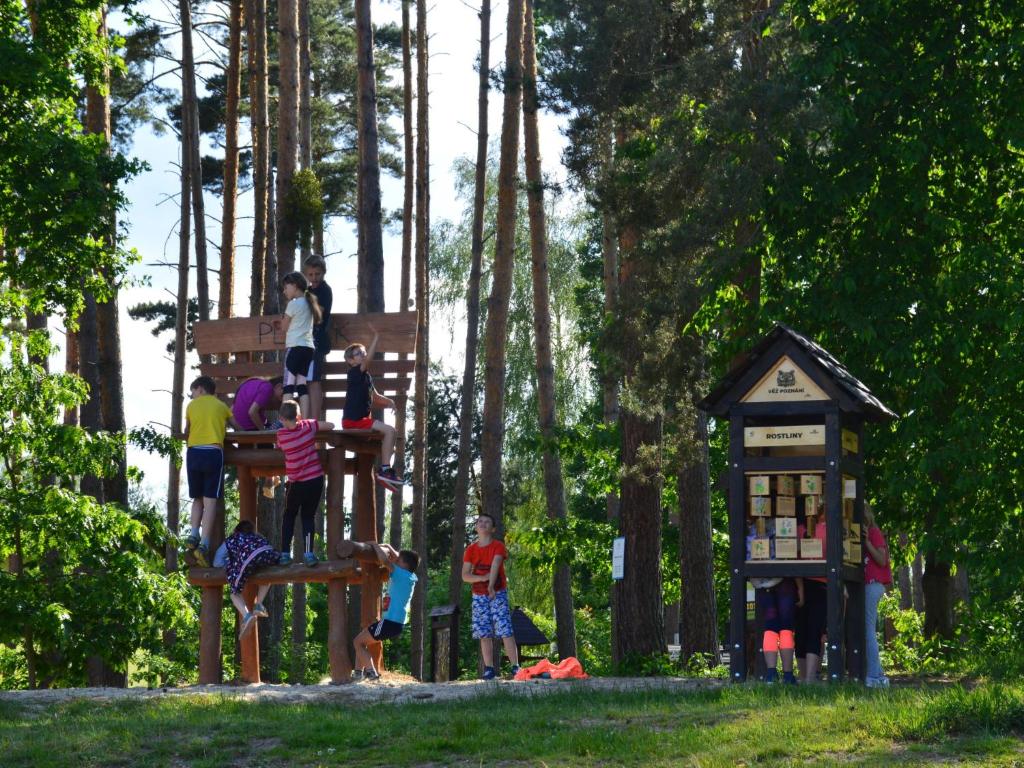 Herní místnost nebo prostor pro děti v ubytování Holiday Home Kemp Stříbrný rybník-5 by Interhome