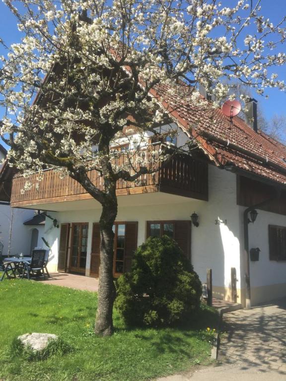 ein Baum vor einem Haus mit einem Gebäude in der Unterkunft Ferienwohnung Wippenreute in Ravensburg