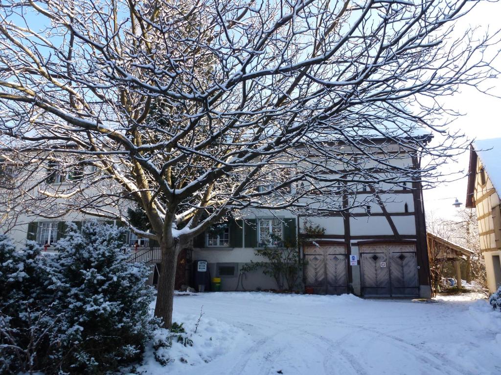 Bed & Breakfast Im Chellhof durante l'inverno