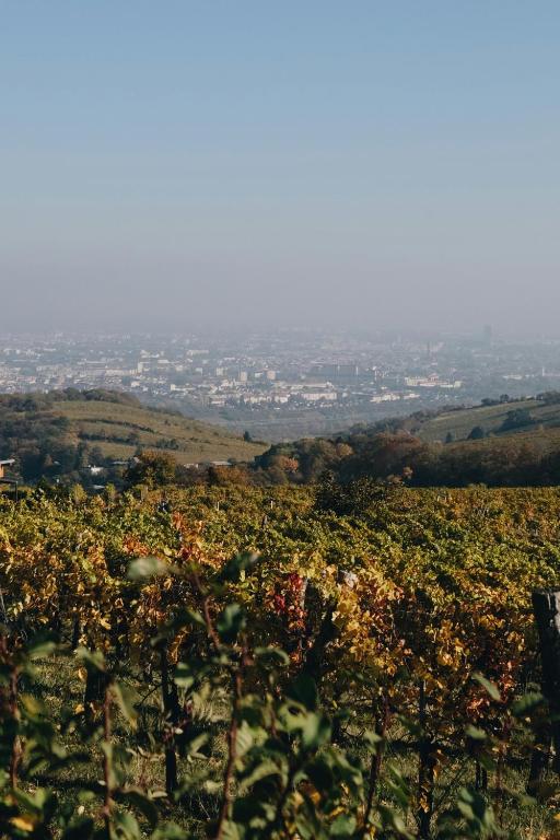 hideauts hotels Villa R - Resim 8