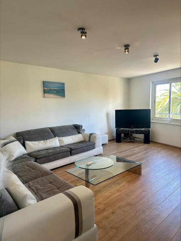 un salon avec un canapé et une télévision dans l'établissement Apparemment Vias plage-village, à Vias