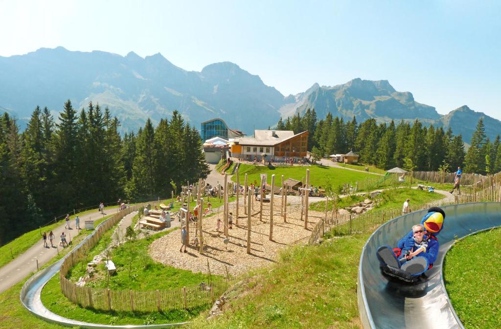 Příroda nedaleko hostelu