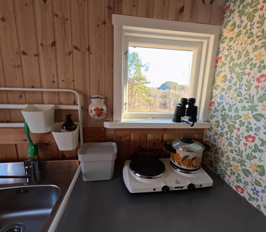 Kuchyň nebo kuchyňský kout v ubytování Gezellige Zweedse stuga Dalsland