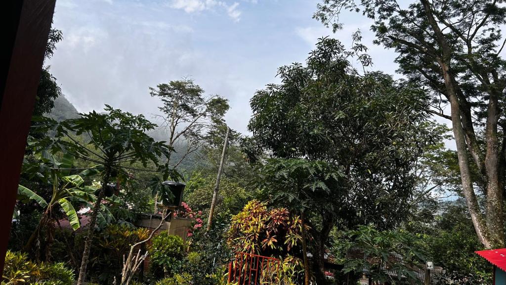 Foto sihtkohas Boquerón de Capira asuva majutusasutuse Finca Peñitas galeriist