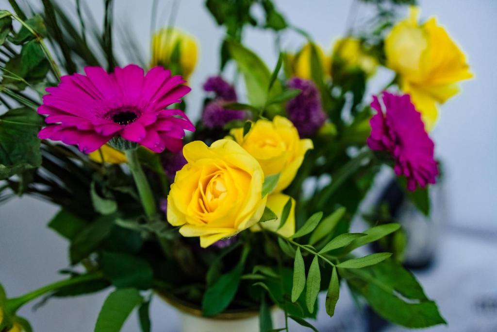 Royal by Euxin - Resim 33