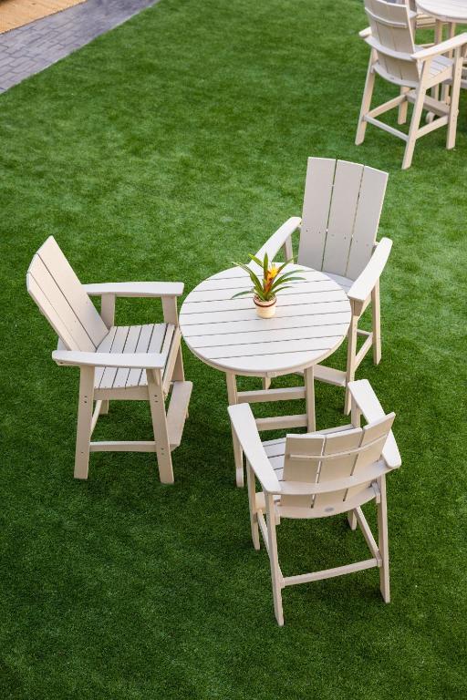Zahrada ubytování stayAPT Suites Port Arthur