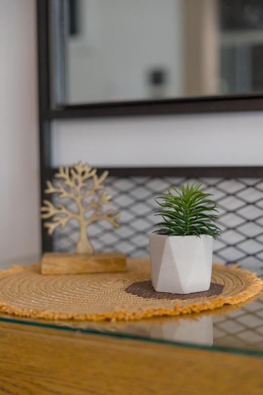 MELIGEO Suites Center of IOANNINA - Resim 28